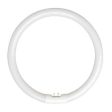 22w Fluorescent T5 Globe Cool White 4200k LC22WT5EB Online Hot Sale