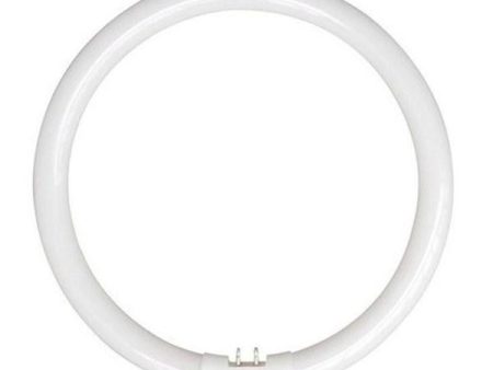 22w Fluorescent T5 Globe Cool White 4200k LC22WT5EB Online Hot Sale